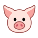 pig